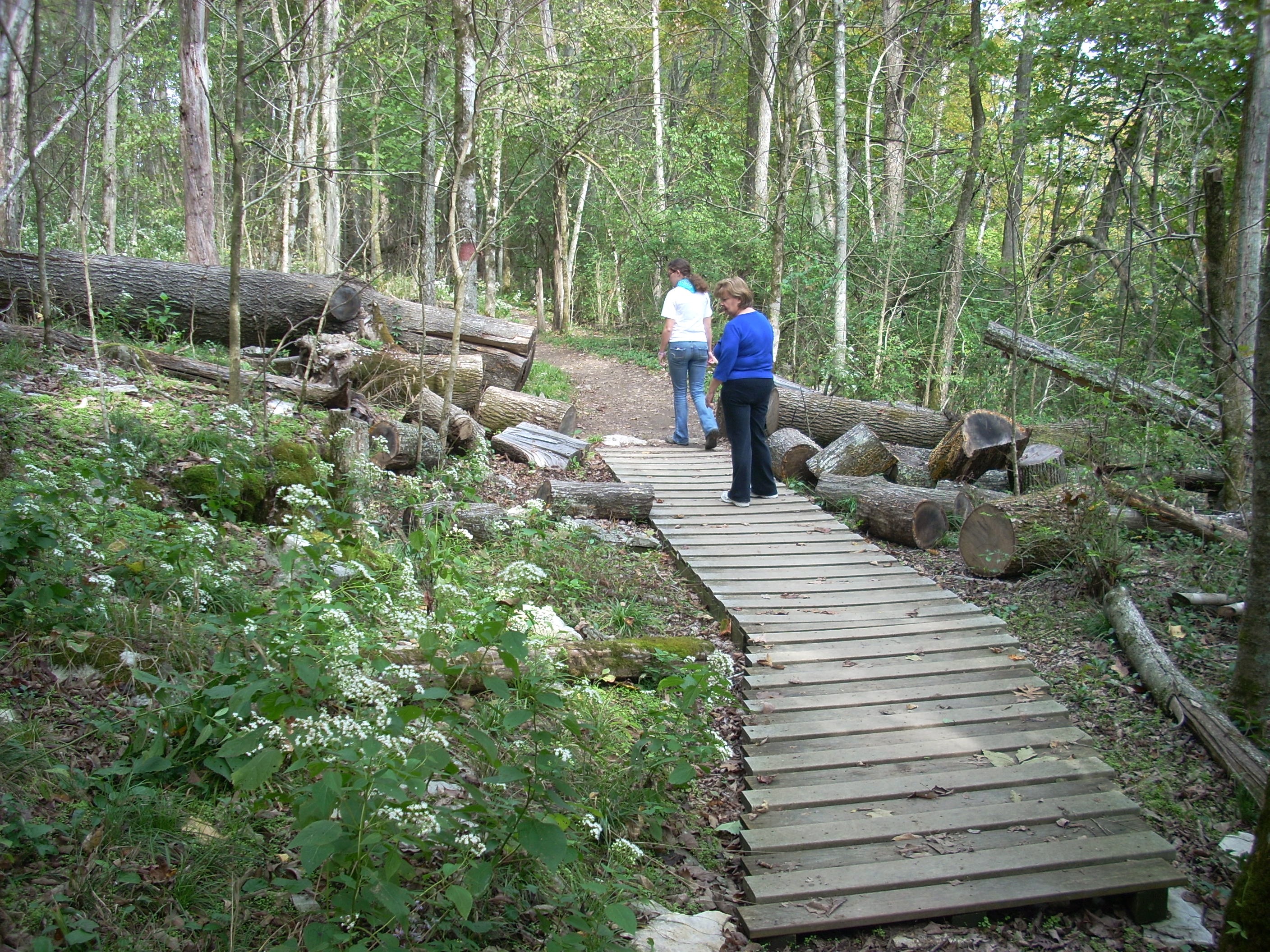 Raven Run Hiking 